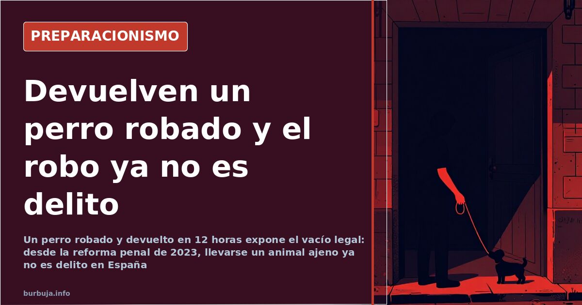 Cámara de seguridad grabando a un hombre devolviendo un perro labrador a un patio