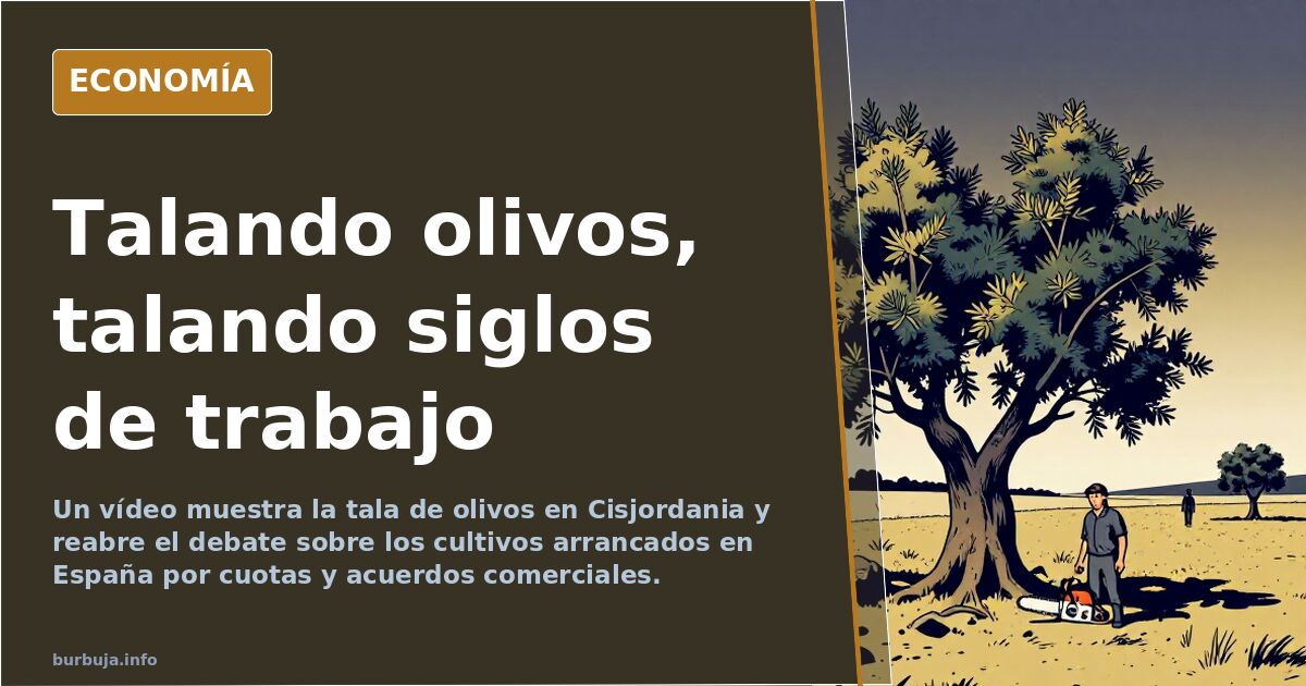 Olivos talados en Cisjordania: el debate sobre quién decide qué tierra se conserva