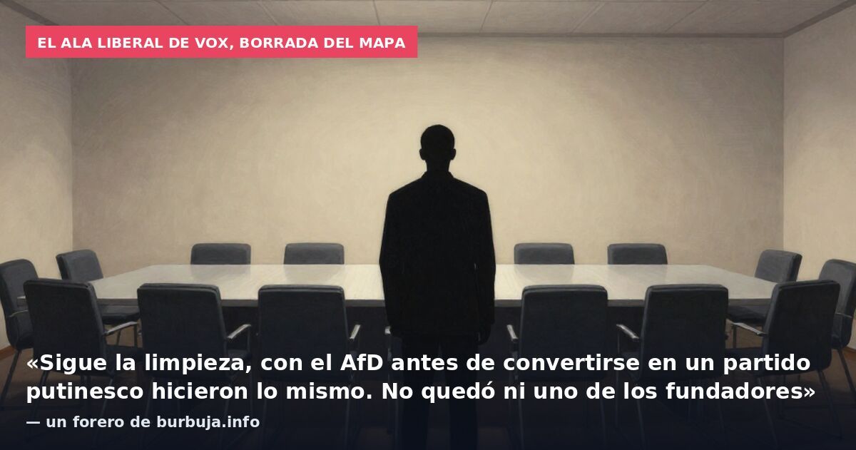 El ala liberal de Vox, borrada del mapa: «Sigue la limpieza, con el AfD antes de convertirse en un partido putinesco hicieron lo mismo. No quedó ni uno de los fundadores» — un forero de burbuja.info