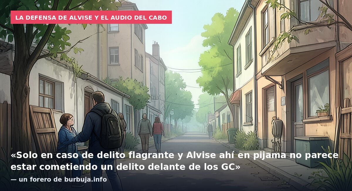 La defensa de Alvise y el audio del cabo: «Solo en caso de delito flagrante y Alvise ahí en pijama no parece estar cometiendo un delito delante de los GC» — un forero de burbuja.info