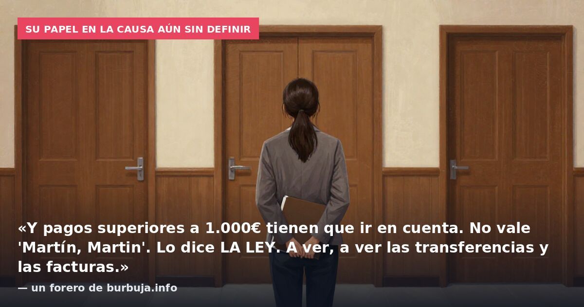 Su papel en la causa aún sin definir: «Y pagos superiores a 1.000€ tienen que ir en cuenta. No vale 'Martín, Martin'. Lo dice LA LEY. A ver, a ver las transferencias y las facturas.» — un forero de burbuja.info