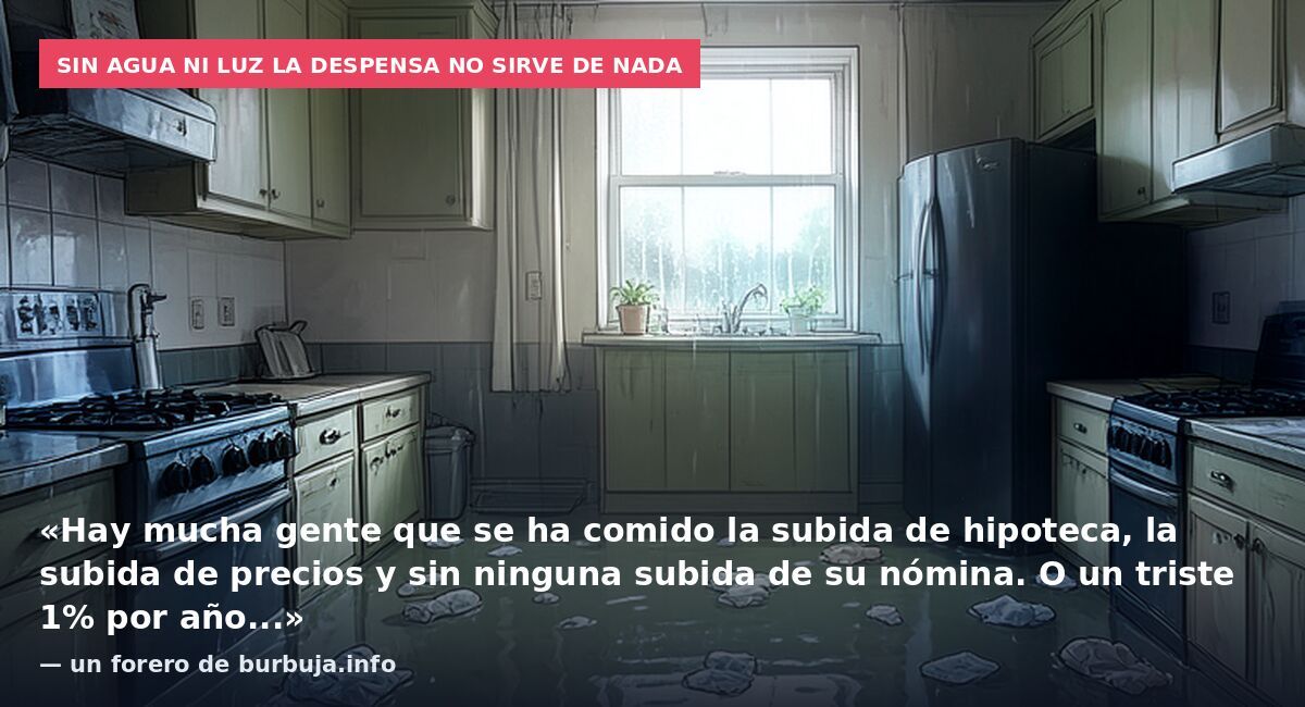Sin agua ni luz la despensa no sirve de nada: «Hay mucha gente que se ha comido la subida de hipoteca, la subida de precios y sin ninguna subida de su nómina. O un triste 1% por año...» — un forero de burbuja.info
