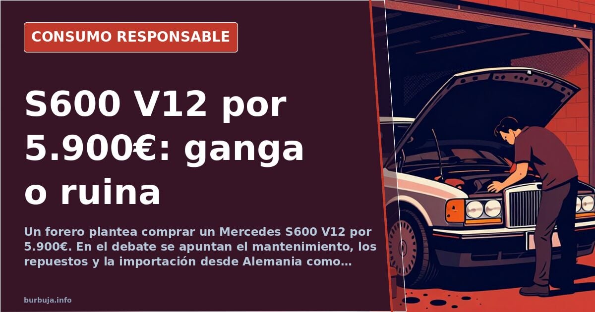 Mercedes S600 V12 für 5.900 €: Die versteckten Kosten des Prestiges