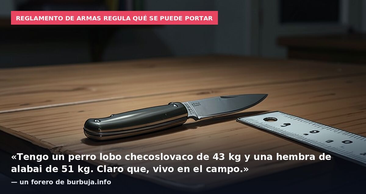 Reglamento de Armas regula qué se puede portar: «Tengo un perro lobo checoslovaco de 43 kg y una hembra de alabai de 51 kg. Claro que, vivo en el campo.» — un forero de burbuja.info