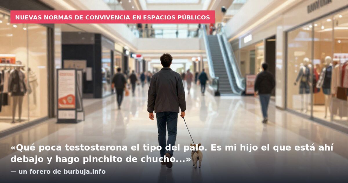Nuevas normas de convivencia en espacios públicos: «Qué poca testosterona el tipo del palo. Es mi hijo el que está ahí debajo y hago pinchito de chucho...» — un forero de burbuja.info