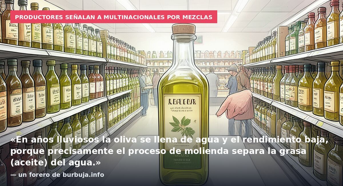 Productores señalan a multinacionales por mezclas: «En años lluviosos la oliva se llena de agua y el rendimiento baja, porque precisamente el proceso de molienda separa la grasa (aceite) del agua.» — un forero de burbuja.info