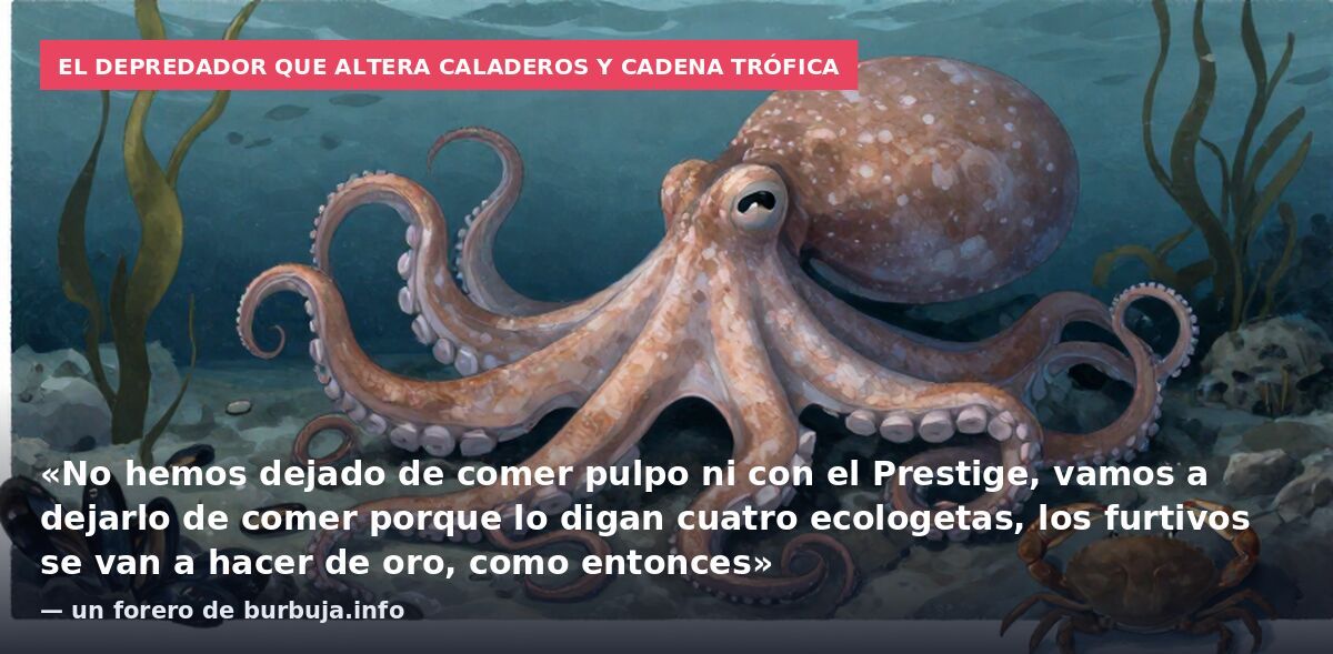 El depredador que altera caladeros y cadena trófica: «No hemos dejado de comer pulpo ni con el Prestige, vamos a dejarlo de comer porque lo digan cuatro ecologetas, los furtivos se van a hacer de oro, como entonces» — un forero de burbuja.info