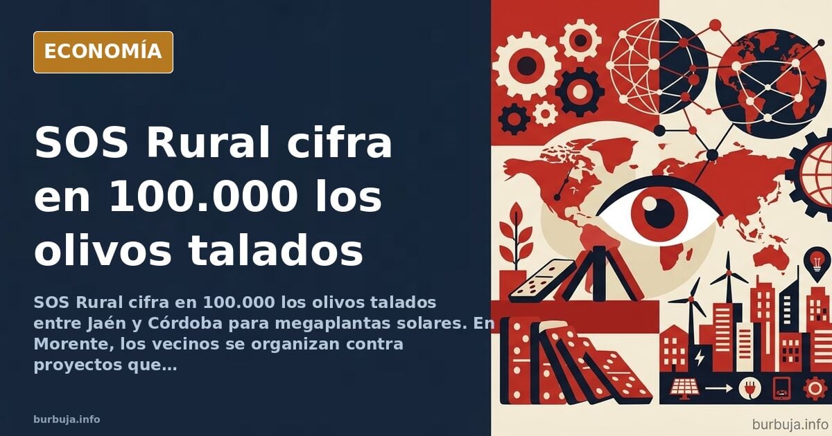 Olivar centenario en la provincia de Jaén junto a paneles solares y terreno removido por la tala de olivos