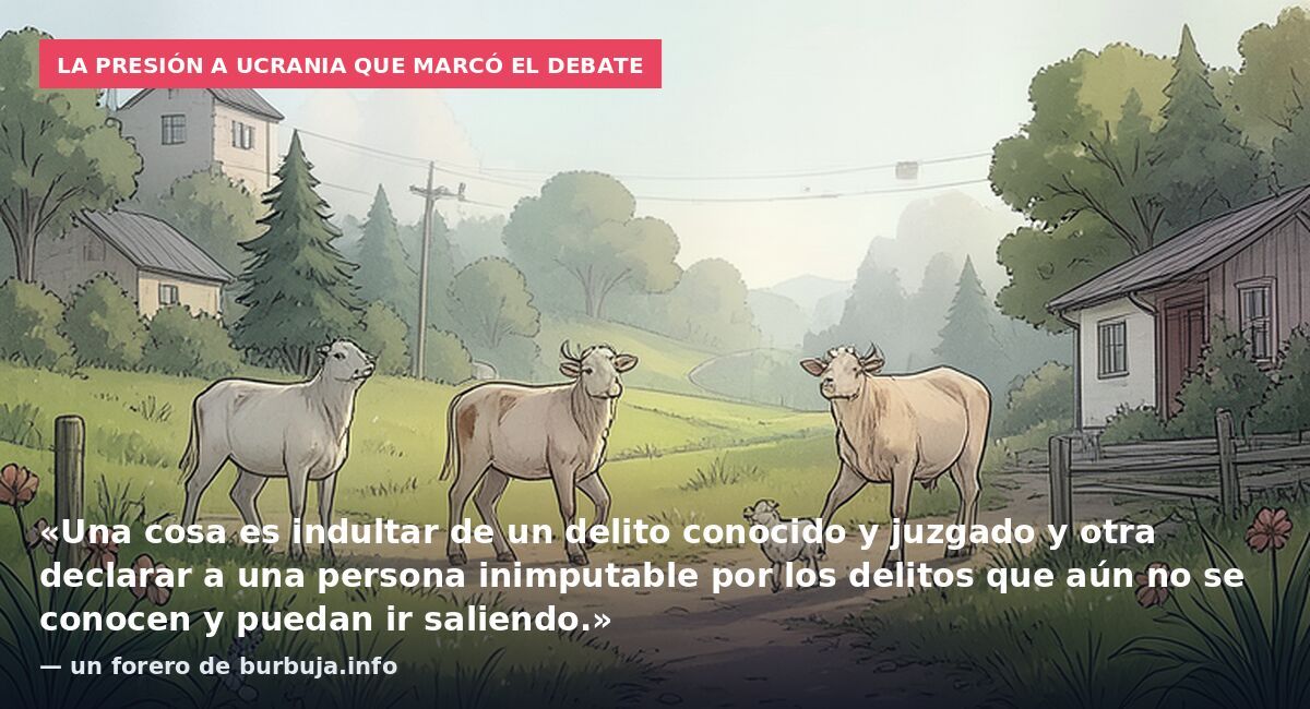 La presión a Ucrania que marcó el debate: «Una cosa es indultar de un delito conocido y juzgado y otra declarar a una persona inimputable por los delitos que aún no se conocen y puedan ir saliendo.» — un forero de burbuja.info