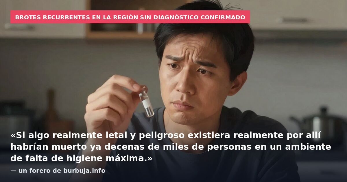 Brotes recurrentes en la región sin diagnóstico confirmado: «Si algo realmente letal y peligroso existiera realmente por allí habrían muerto ya decenas de miles de personas en un ambiente de falta de higiene máxima.» — un forero de burbuja.info