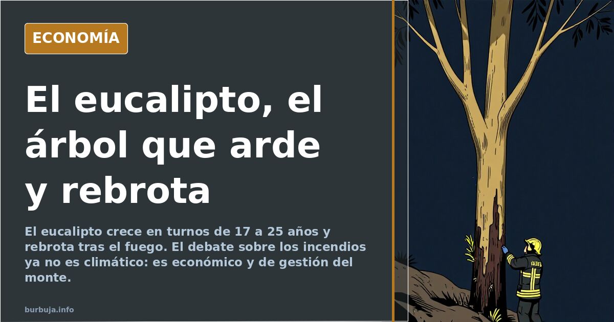 El eucalipto y el pino, en el punto de mira de los incendios
