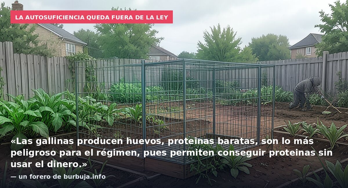 La autosuficiencia queda fuera de la ley: «Las gallinas producen huevos, proteinas baratas, son lo más peligroso para el régimen, pues permiten conseguir proteinas sin usar el dinero.» — un forero de burbuja.info