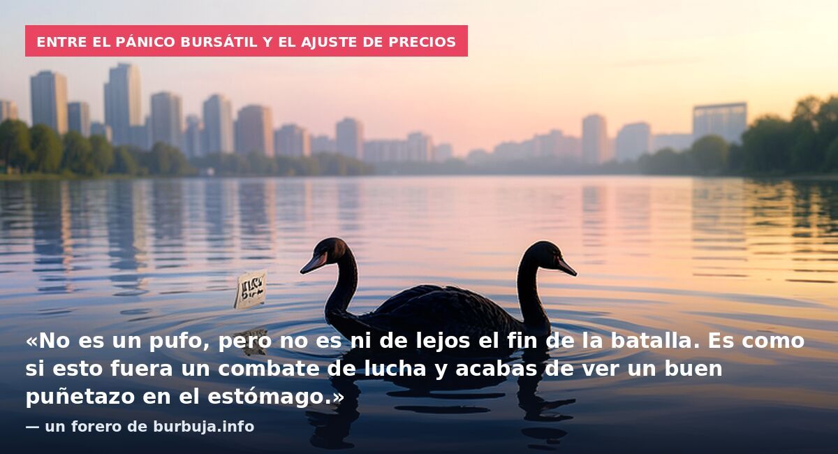 Entre el pánico bursátil y el ajuste de precios: «No es un pufo, pero no es ni de lejos el fin de la batalla. Es como si esto fuera un combate de lucha y acabas de ver un buen puñetazo en el estómago.» — un forero de burbuja.info