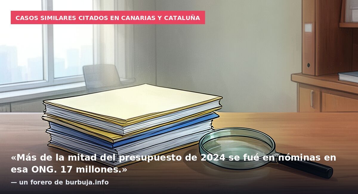 Casos similares citados en Canarias y Cataluña: «Más de la mitad del presupuesto de 2024 se fué en nóminas en esa ONG. 17 millones.» — un forero de burbuja.info