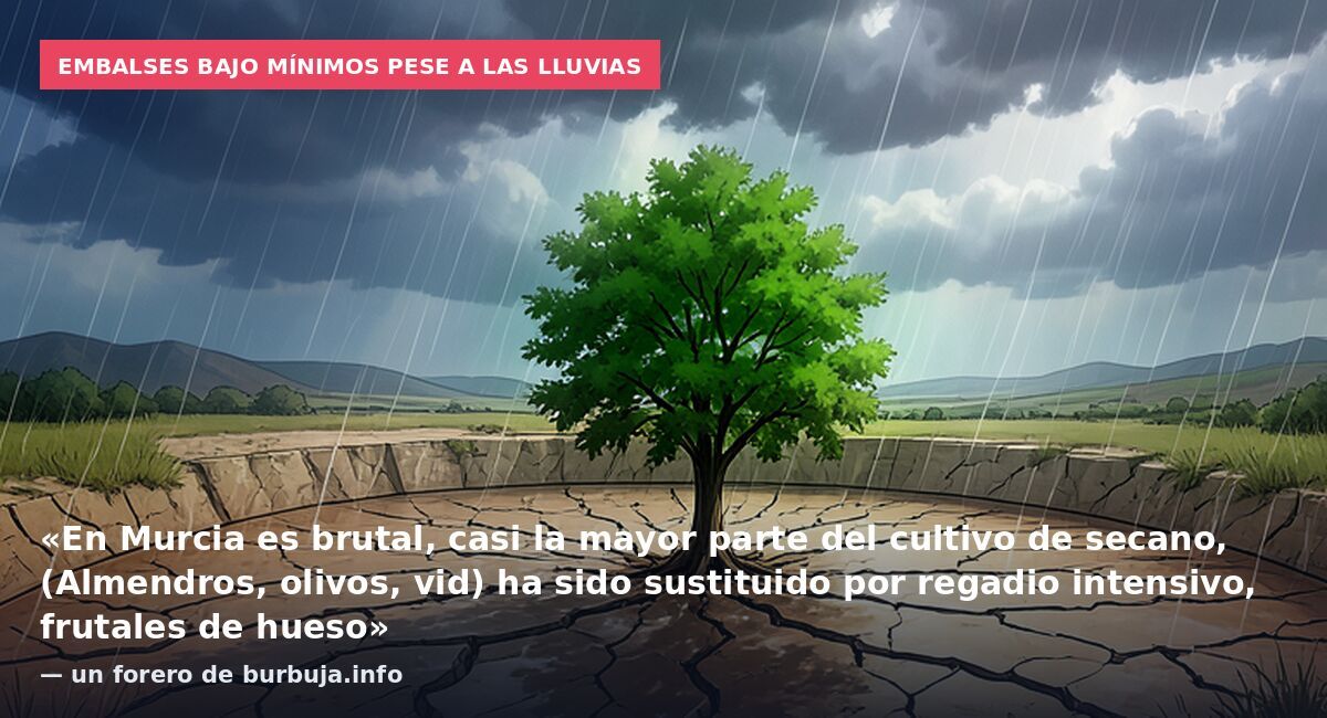 Embalses bajo mínimos pese a las lluvias: «En Murcia es brutal, casi la mayor parte del cultivo de secano, (Almendros, olivos, vid) ha sido sustituido por regadio intensivo, frutales de hueso» — un forero de burbuja.info