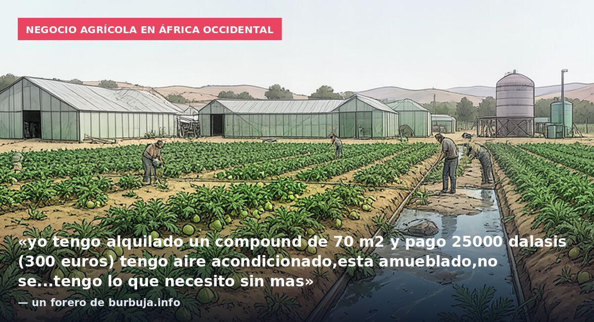 Negocio agrícola en África occidental: «yo tengo alquilado un compound de 70 m2 y pago 25000 dalasis (300 euros) tengo aire acondicionado,esta amueblado,no se...tengo lo que necesito sin mas» — un forero de burbuja.info