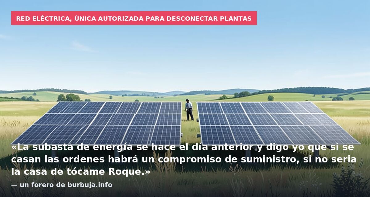 Red Eléctrica, única autorizada para desconectar plantas: «La subasta de energía se hace el día anterior y digo yo que si se casan las ordenes habrá un compromiso de suministro, si no seria la casa de tócame Roque.» — un forero de burbuja.info