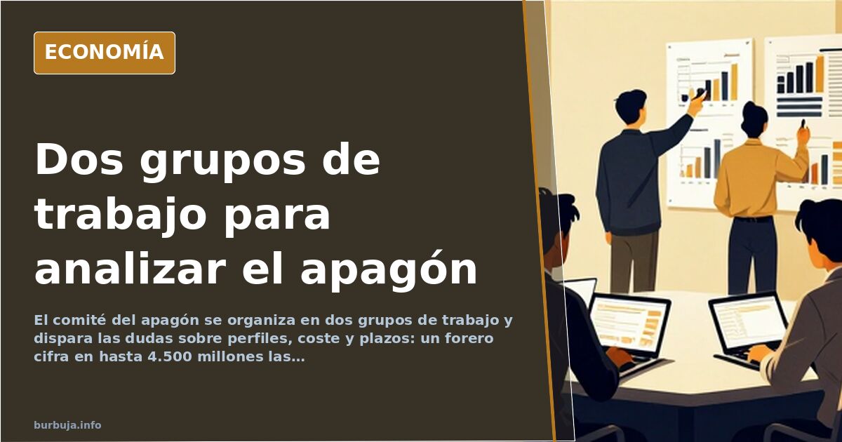 El comité del apagón arranca con dos grupos de trabajo