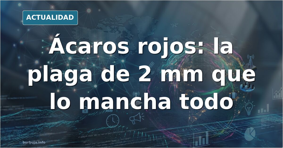 Primer plano de ácaros rojos diminutos sobre un muro de exterior, con una mancha rojiza visible en la superficie