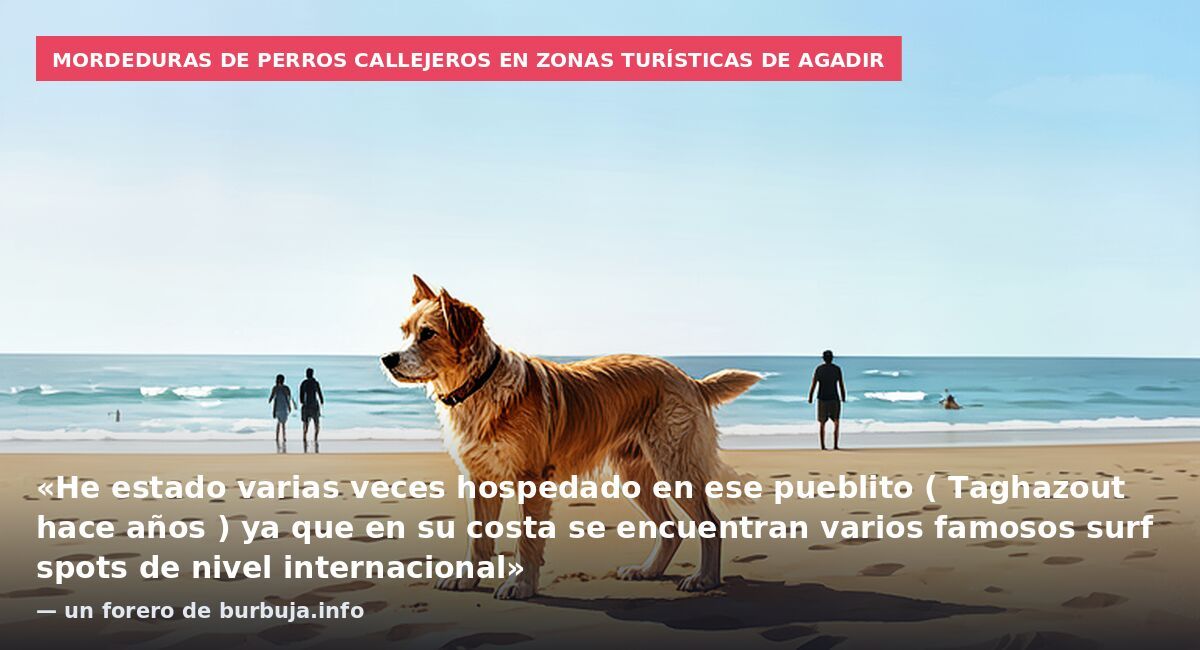 Mordeduras de perros callejeros en zonas turísticas de Agadir: «He estado varias veces hospedado en ese pueblito ( Taghazout hace años ) ya que en su costa se encuentran varios famosos surf spots de nivel internacional» — un forero de burbuja.info