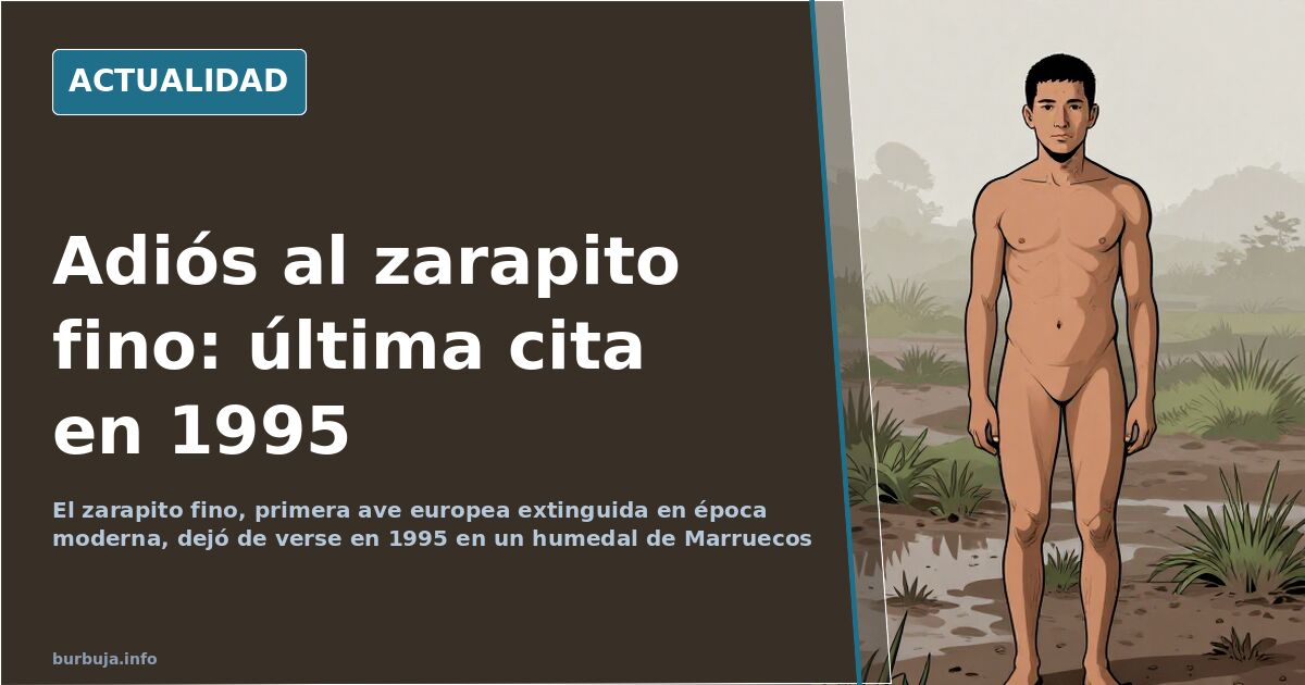 Zarapito fino posado sobre una turbera, con plumaje moteado y el largo pico curvado hacia el suelo