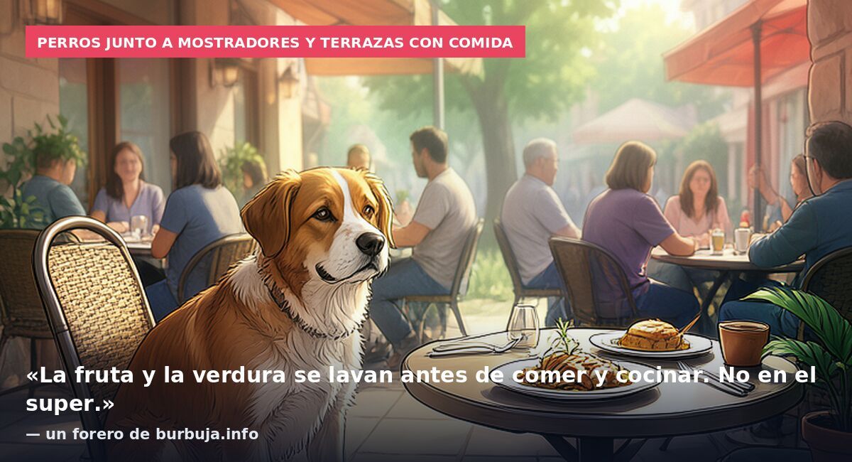 Perros junto a mostradores y terrazas con comida: «La fruta y la verdura se lavan antes de comer y cocinar. No en el super.» — un forero de burbuja.info