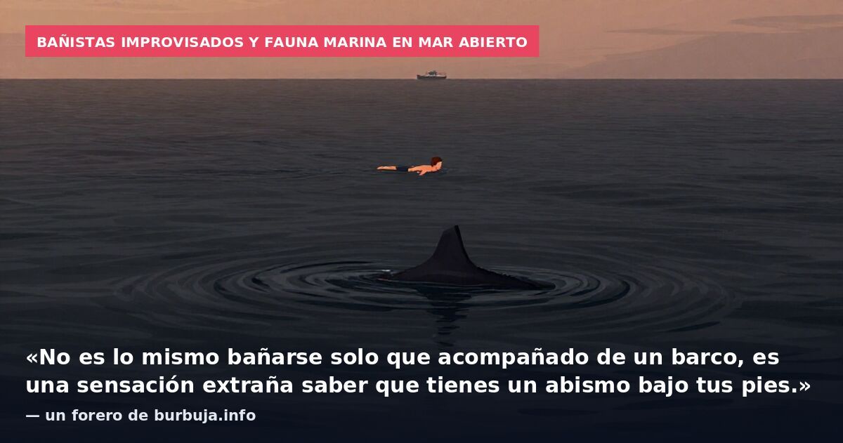 Bañistas improvisados y fauna marina en mar abierto: «No es lo mismo bañarse solo que acompañado de un barco, es una sensación extraña saber que tienes un abismo bajo tus pies.» — un forero de burbuja.info