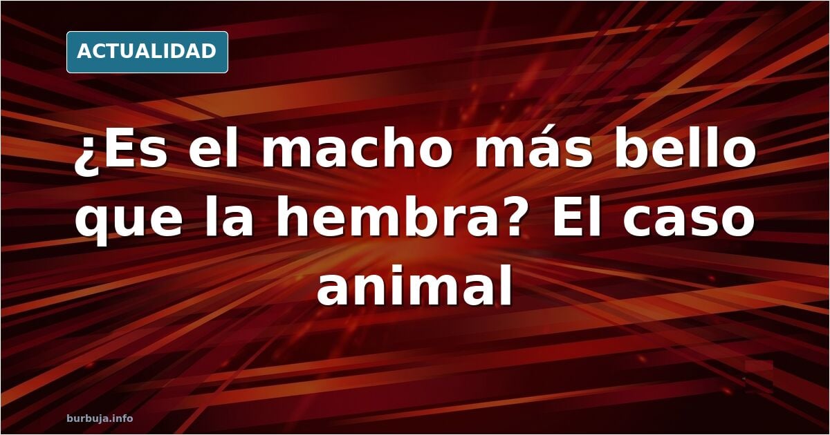 El macho, ¿ejemplar más bello? El dimorfismo sexual a examen