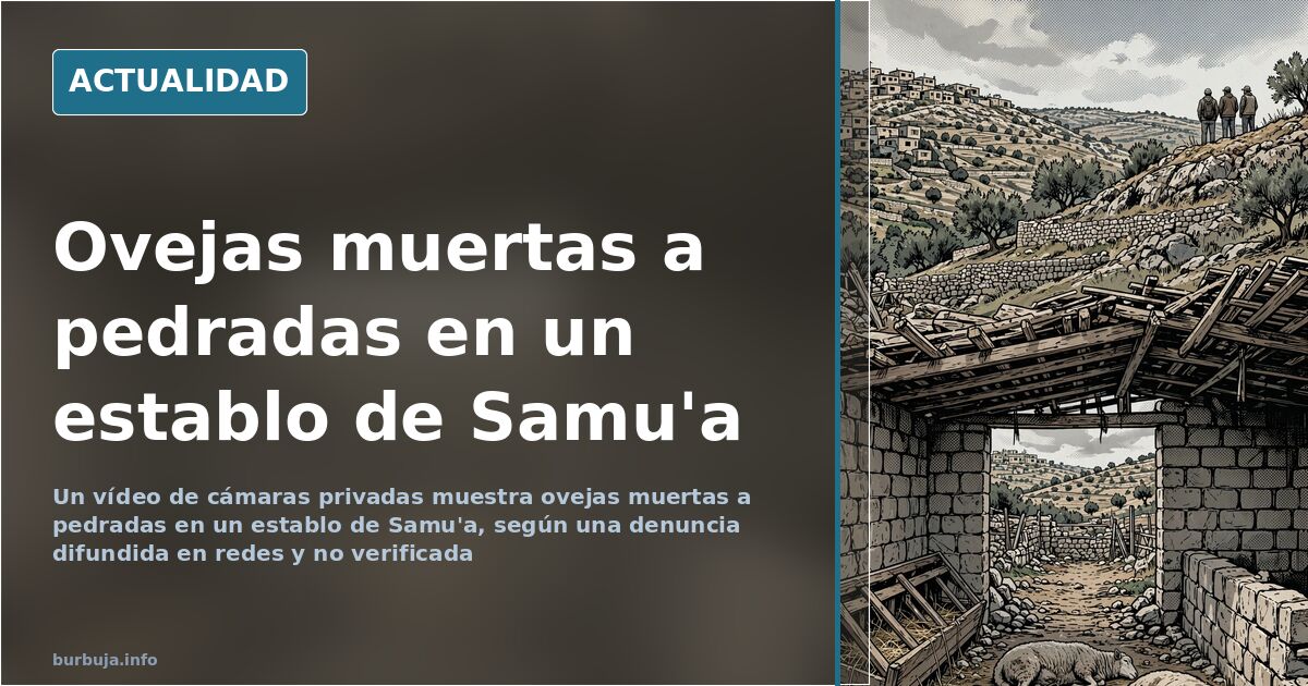 Ovejas tumbadas en el establo de una casa palestina tras el ataque denunciado en Samu'a, recogido por cámaras