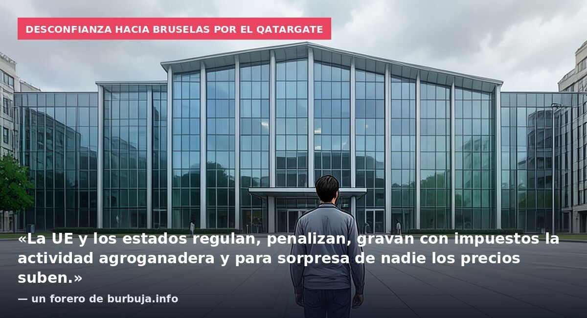 Desconfianza hacia Bruselas por el Qatargate: «La UE y los estados regulan, penalizan, gravan con impuestos la actividad agroganadera y para sorpresa de nadie los precios suben.» — un forero de burbuja.info