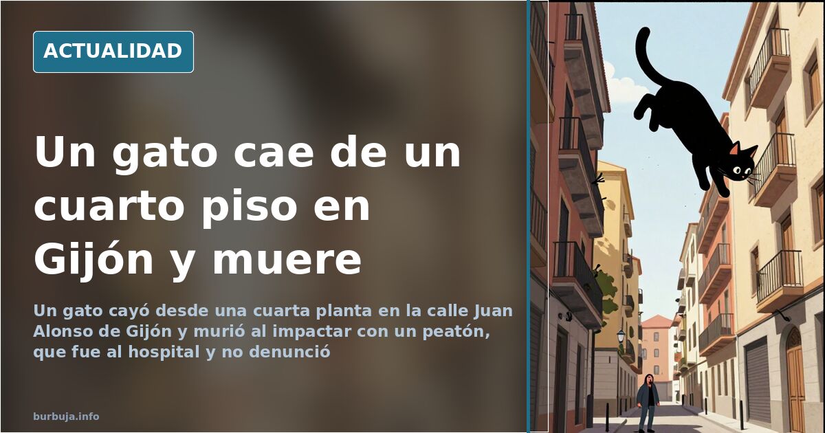 Muere un gato al caer sobre un peatón en Gijón