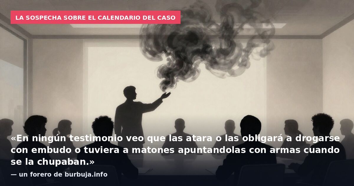 La sospecha sobre el calendario del caso: «En ningún testimonio veo que las atara o las obligará a drogarse con embudo o tuviera a matones apuntandolas con armas cuando se la chupaban.» — un forero de burbuja.info