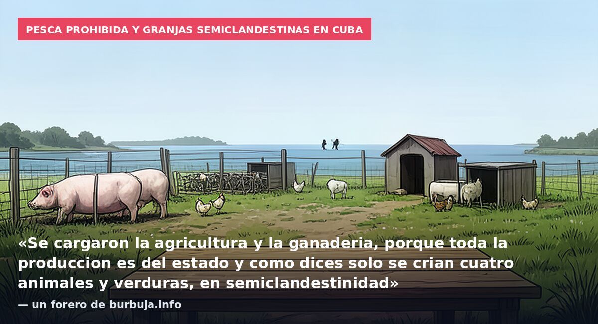 Pesca prohibida y granjas semiclandestinas en Cuba: «Se cargaron la agricultura y la ganaderia, porque toda la produccion es del estado y como dices solo se crian cuatro animales y verduras, en semiclandestinidad» — un forero de burbuja.info
