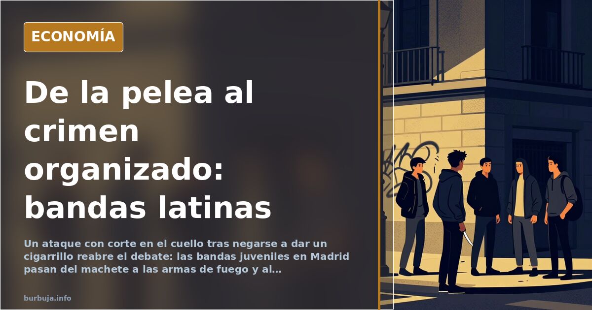 Bandas juveniles en Madrid: del machete a la pistola
