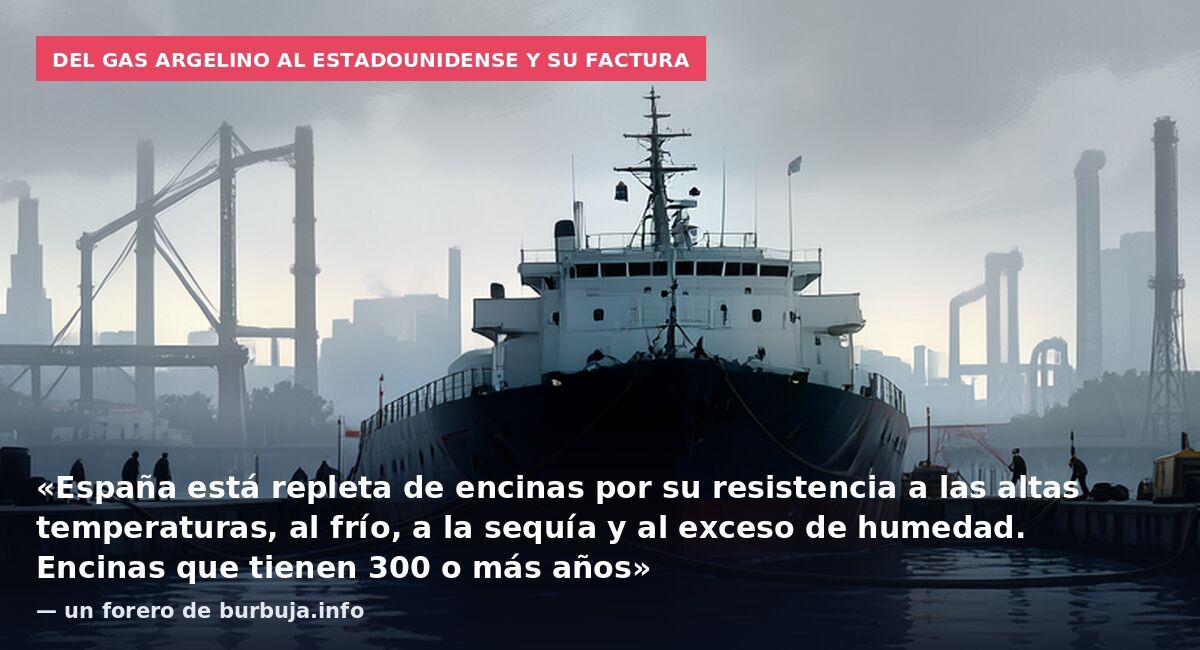 Del gas argelino al estadounidense y su factura: «España está repleta de encinas por su resistencia a las altas temperaturas, al frío, a la sequía y al exceso de humedad. Encinas que tienen 300 o más años» — un forero de burbuja.info