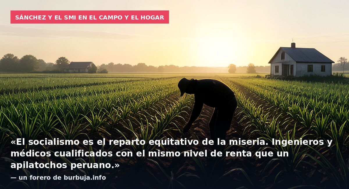 Sánchez y el SMI en el campo y el hogar: «El socialismo es el reparto equitativo de la miseria. Ingenieros y médicos cualificados con el mismo nivel de renta que un apilatochos peruano.» — un forero de burbuja.info