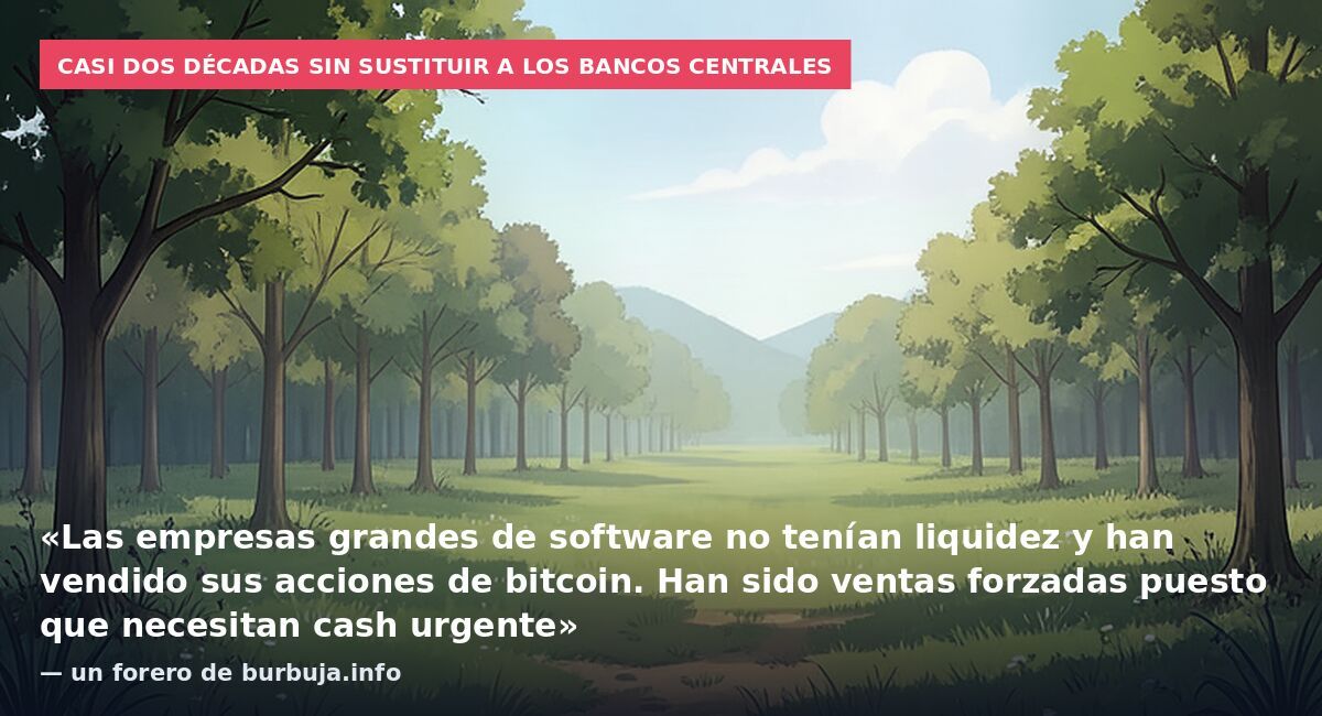 Casi dos décadas sin sustituir a los bancos centrales: «Las empresas grandes de software no tenían liquidez y han vendido sus acciones de bitcoin. Han sido ventas forzadas puesto que necesitan cash urgente» — un forero de burbuja.info