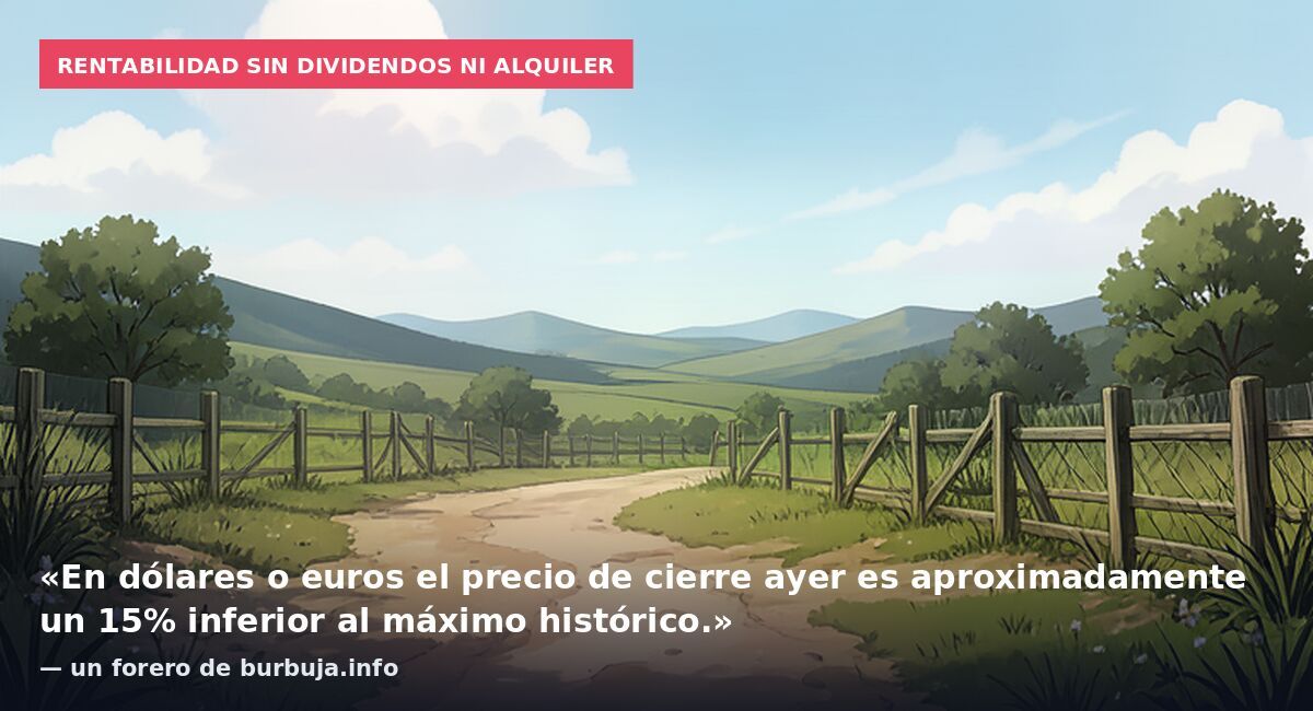 Rentabilidad sin dividendos ni alquiler: «En dólares o euros el precio de cierre ayer es aproximadamente un 15% inferior al máximo histórico.» — un forero de burbuja.info