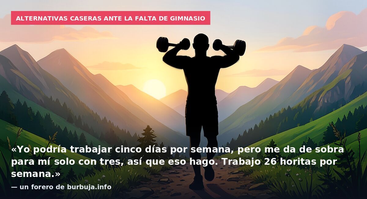 Alternativas caseras ante la falta de gimnasio: «Yo podría trabajar cinco días por semana, pero me da de sobra para mí solo con tres, así que eso hago. Trabajo 26 horitas por semana.» — un forero de burbuja.info