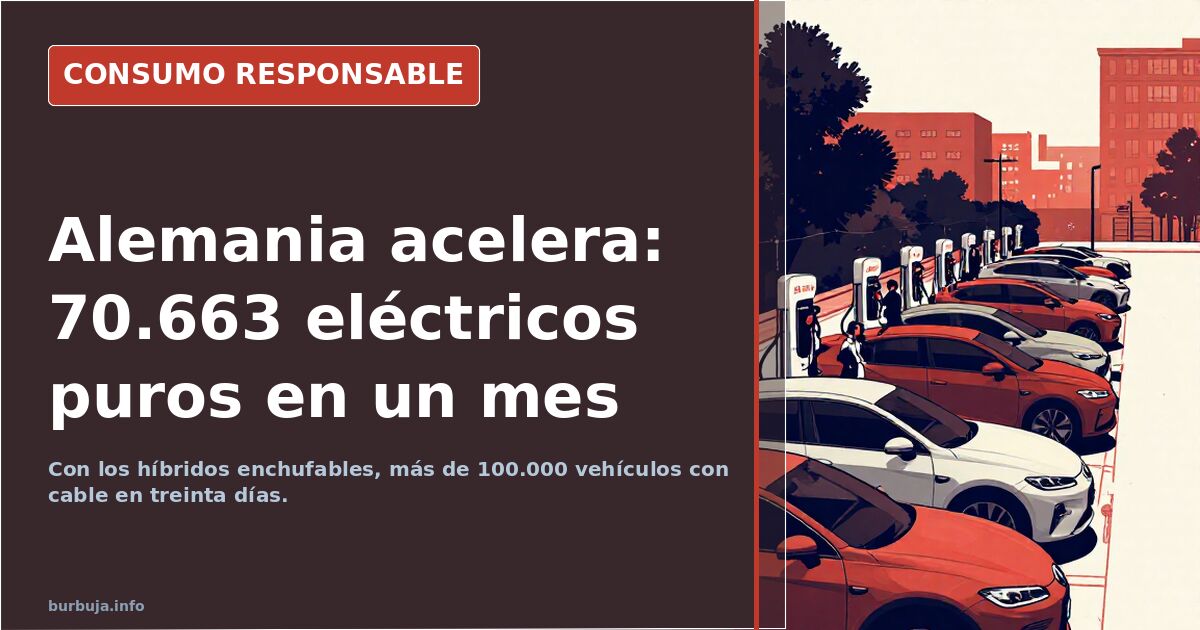 Alemania matricula 70.663 eléctricos puros en un mes, un 66% más