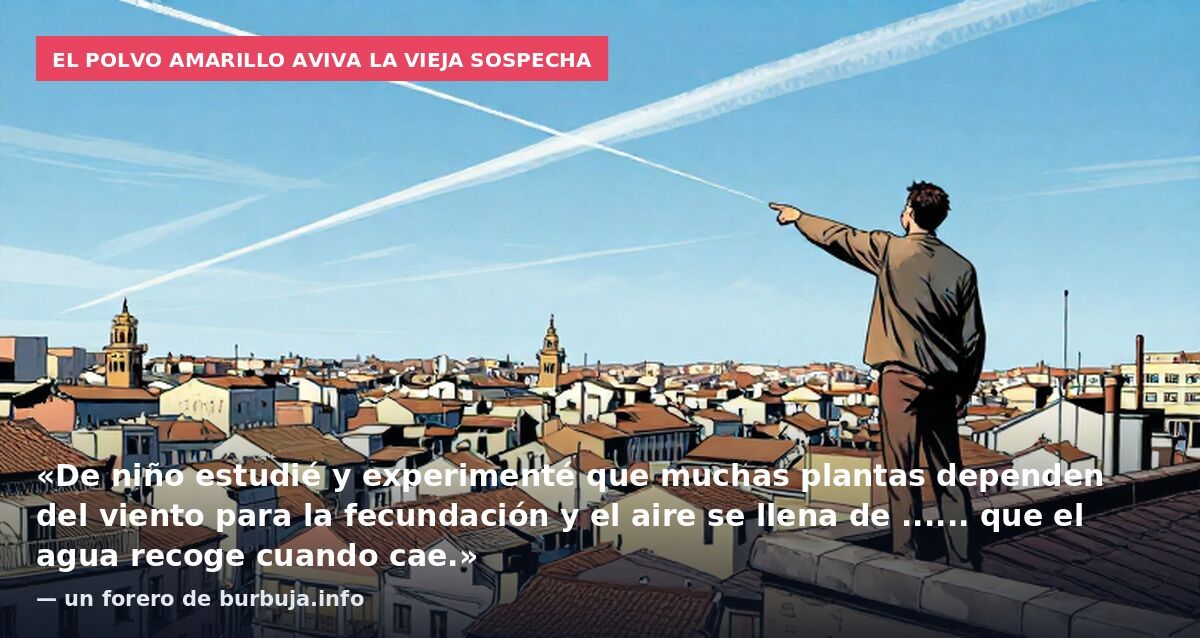 El polvo amarillo aviva la vieja sospecha: «De niño estudié y experimenté que muchas plantas dependen del viento para la fecundación y el aire se llena de ...... que el agua recoge cuando cae.» — un forero de burbuja.info