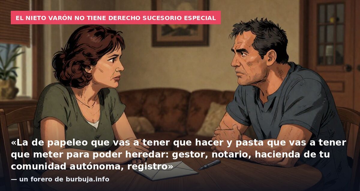 El nieto varón no tiene derecho sucesorio especial: «La de papeleo que vas a tener que hacer y pasta que vas a tener que meter para poder heredar: gestor, notario, hacienda de tu comunidad autónoma, registro» — un forero de burbuja.info