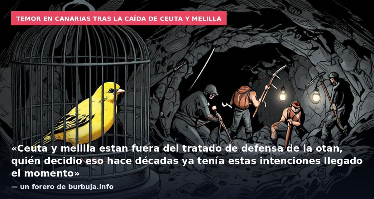 Temor en Canarias tras la caída de Ceuta y Melilla: «Ceuta y melilla estan fuera del tratado de defensa de la otan, quién decidio eso hace décadas ya tenía estas intenciones llegado el momento» — un forero de burbuja.info