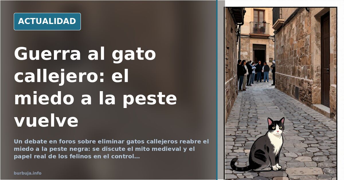 Debate por eliminar gatos callejeros reabre el miedo a la peste