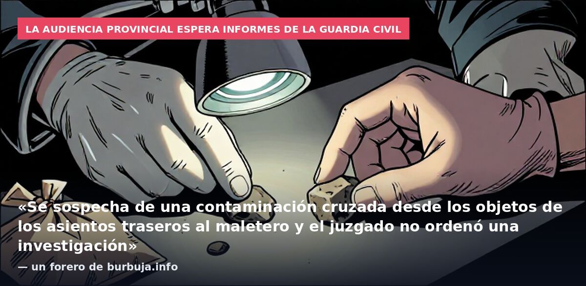 La Audiencia Provincial espera informes de la Guardia Civil: «Se sospecha de una contaminación cruzada desde los objetos de los asientos traseros al maletero y el juzgado no ordenó una investigación» — un forero de burbuja.info