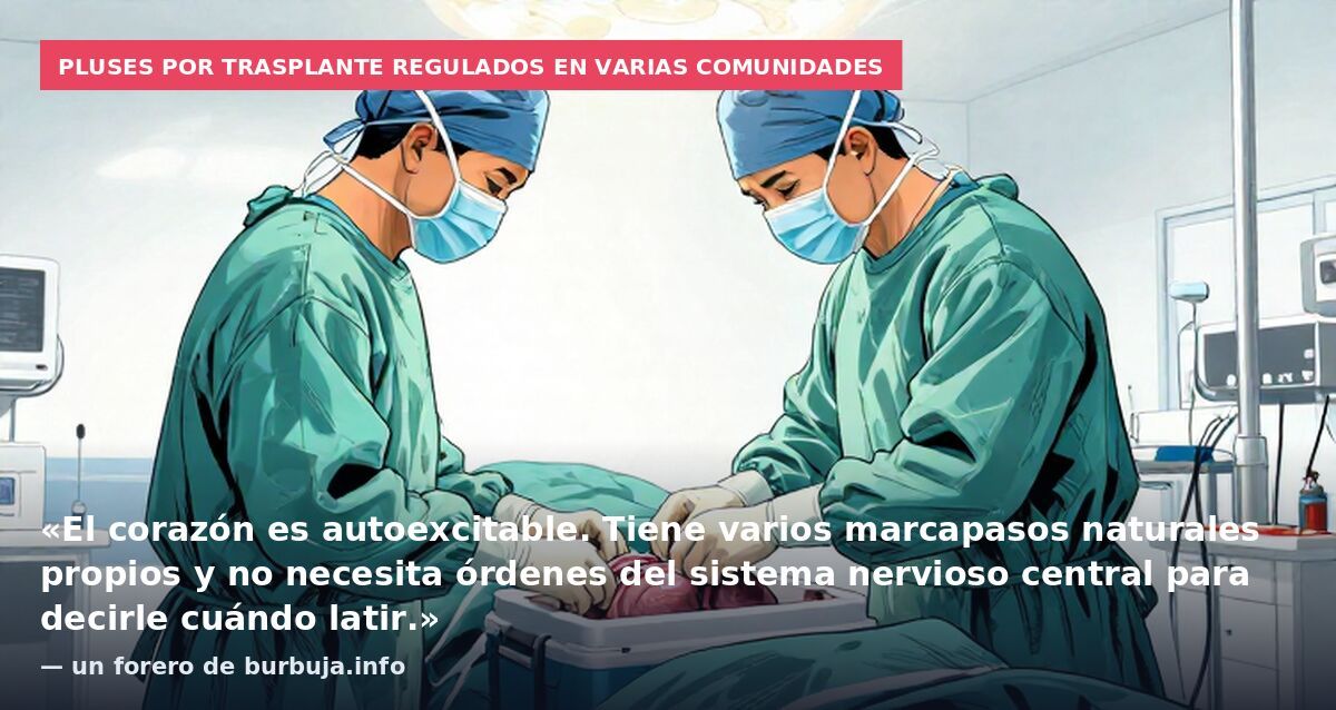 Pluses por trasplante regulados en varias comunidades: «El corazón es autoexcitable. Tiene varios marcapasos naturales propios y no necesita órdenes del sistema nervioso central para decirle cuándo latir.» — un forero de burbuja.info