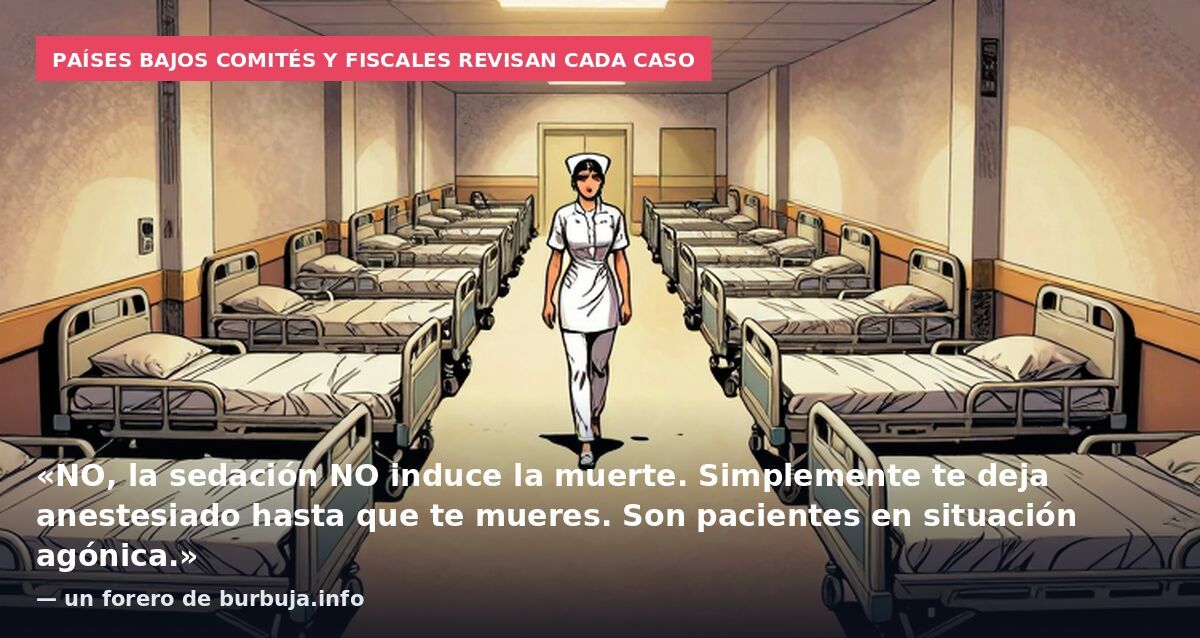 Países Bajos comités y fiscales revisan cada caso: «NO, la sedación NO induce la muerte. Simplemente te deja anestesiado hasta que te mueres. Son pacientes en situación agónica.» — un forero de burbuja.info