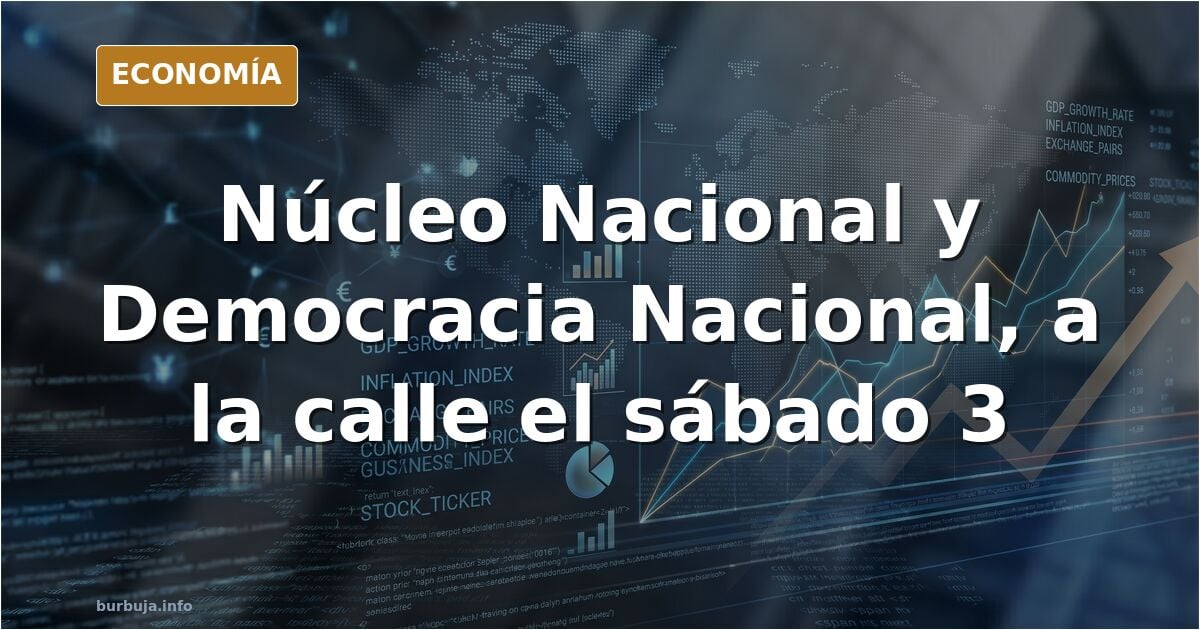 Nucleo Nacional y Democracia Nacional van a ir a liarla parda hoy Sábado día 3 a las 20:00 a Puerta del Sol