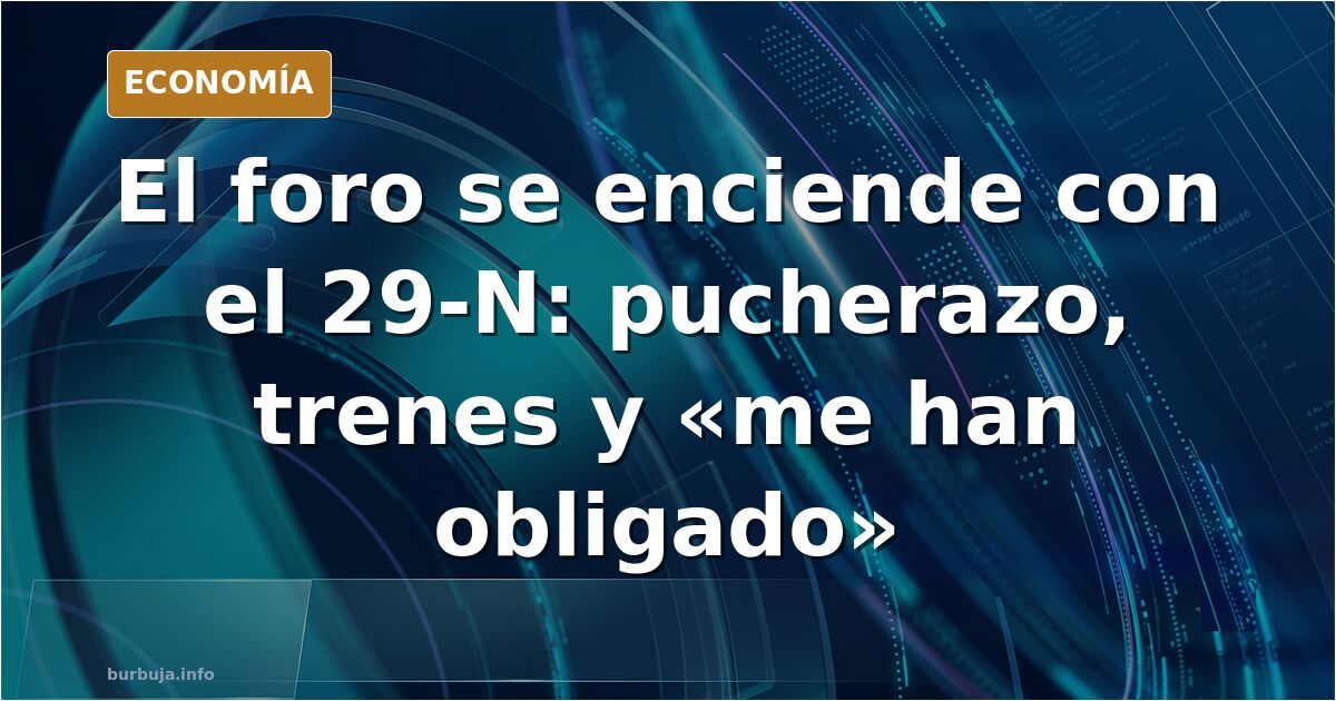 29 de noviembre elecciones generales