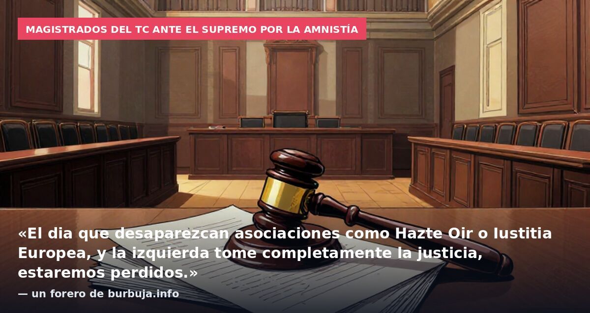 Magistrados del TC ante el Supremo por la amnistía: «El dia que desaparezcan asociaciones como Hazte Oir o Iustitia Europea, y la izquierda tome completamente la justicia, estaremos perdidos.» — un forero de burbuja.info